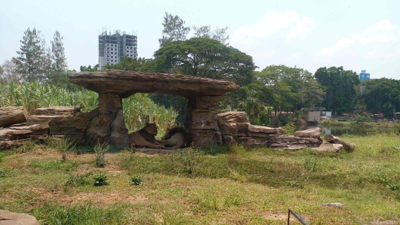 Solo Safari Siapkan Berbagai Event Seru di Sepanjang Tahun 2025 dan Berharap Pengunjung Lampaui Tahun Sebelumnya